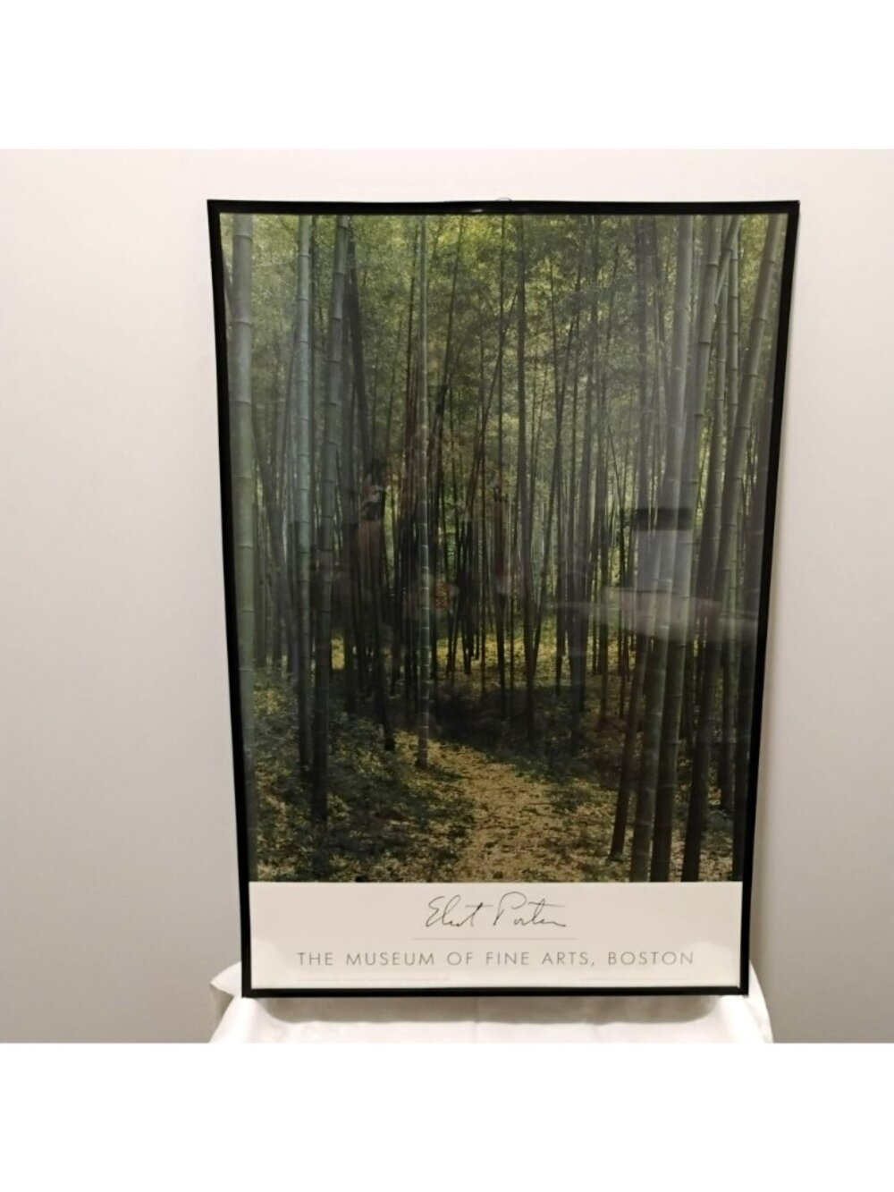 Vintage Eliot Porter Framed Bamboo Forest Museum Poster - 36" Large Wall Art - Picture 8 of 9